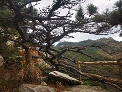 -罗田天堂寨风景区