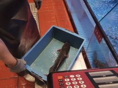 -鱼酷活鱼烤鱼(恒隆广场店)