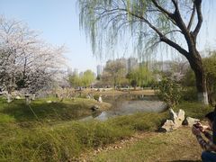 -堤角公园