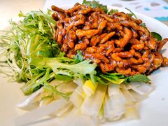 京酱肉丝-老昌春饼(西民主路总店)