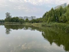 -大兴滨河森林公园