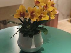 -璞·澐间影院式足道SPA(尚悦湾店)
