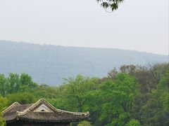 -紫金山山顶公园