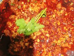 水煮肉片-大蓉和(双楠店)