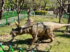 -泰达航母主题公园