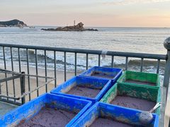 -那琴半岛地质海洋公园