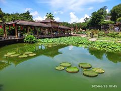 -广州莲花山旅游区