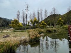 -广州市石门国家森林公园