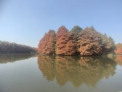 -尚湖风景区