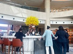 -Plush大堂酒廊(北京金融街威斯汀大酒店)