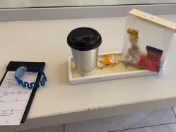 点击看大图 -京世沙龙