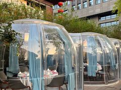 -唐猫庭院·千年陕菜(大唐不夜城店)