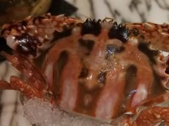 -雍和会海鲜姿造自助(湖东路店)