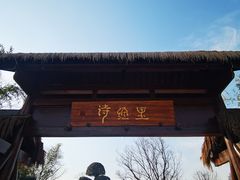-诗经里