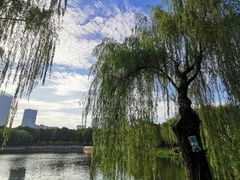 -后襄河公园