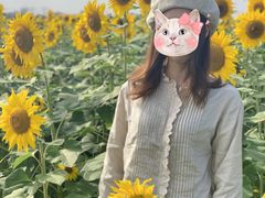 -映月湖中央公园