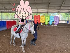 -世纪飞马幼儿园(西城校区)