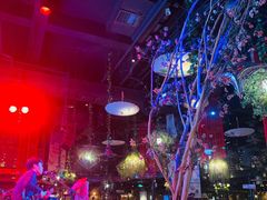 -胡桃里音乐酒馆(石家庄店)