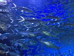 -华夏文旅西安度假区