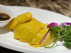 白斩鸡-老洋房花园饭店(绍兴路店)