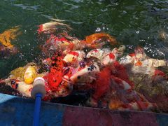 -云漫湖生态度假公园