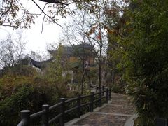 快到了-大阳山国家森林公园