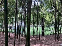 -包公祠