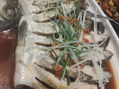 -原鄉本味 楚菜 丹江口鱼(北苑店)