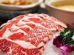 -金龙·打边炉(南京西路店)