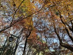 -杭州半山国家森林公园