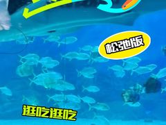 -烟台海昌鲸鲨海洋公园