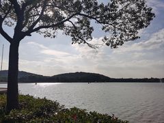 -上海月湖雕塑公园