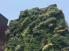 -丽池公园
