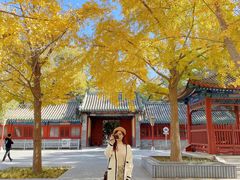 -北京国子监胡同