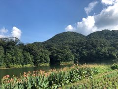 -广州市石门国家森林公园