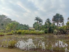 -中国科学院西双版纳热带植物园