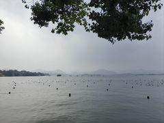 -西湖游船