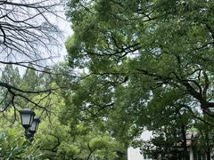 -上海虹桥迎宾馆