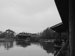 -渤公岛生态公园