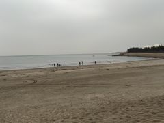 -台山黑沙湾海浴场