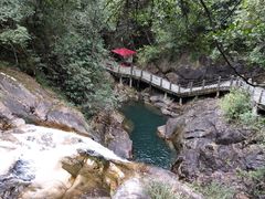 -九龙江国家森林公园