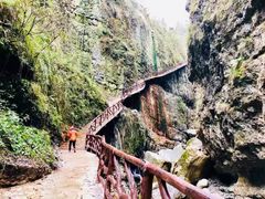 -鹿院坪生态旅游景区