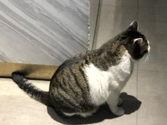 -UNIUNI(凯瑟琳广场店)