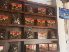 -蘑统田下·野生菌火锅