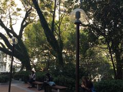-香港大学