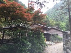 -花岩国家森林公园