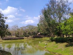 -森波拉奇妙世界