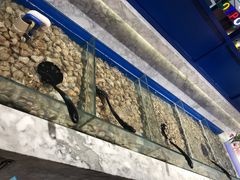 -火锅岛潮牌自助餐厅(天津天佑城店)