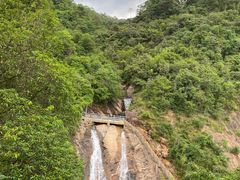 -广州白江湖森林公园