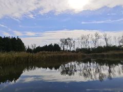 -溱湖国家湿地公园